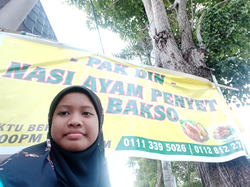 Pak Din Nasi Ayam Penyet & Bakso Pak Din Nasi Ayam Penyet & Bakso