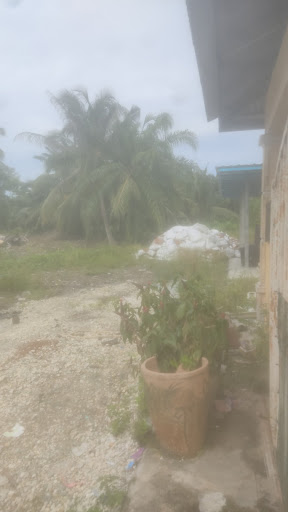 Kedai makan bakso Kedai makan bakso