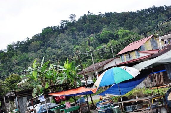 Kampung Bukit Tinggi 1 kampung bukit tinggi
