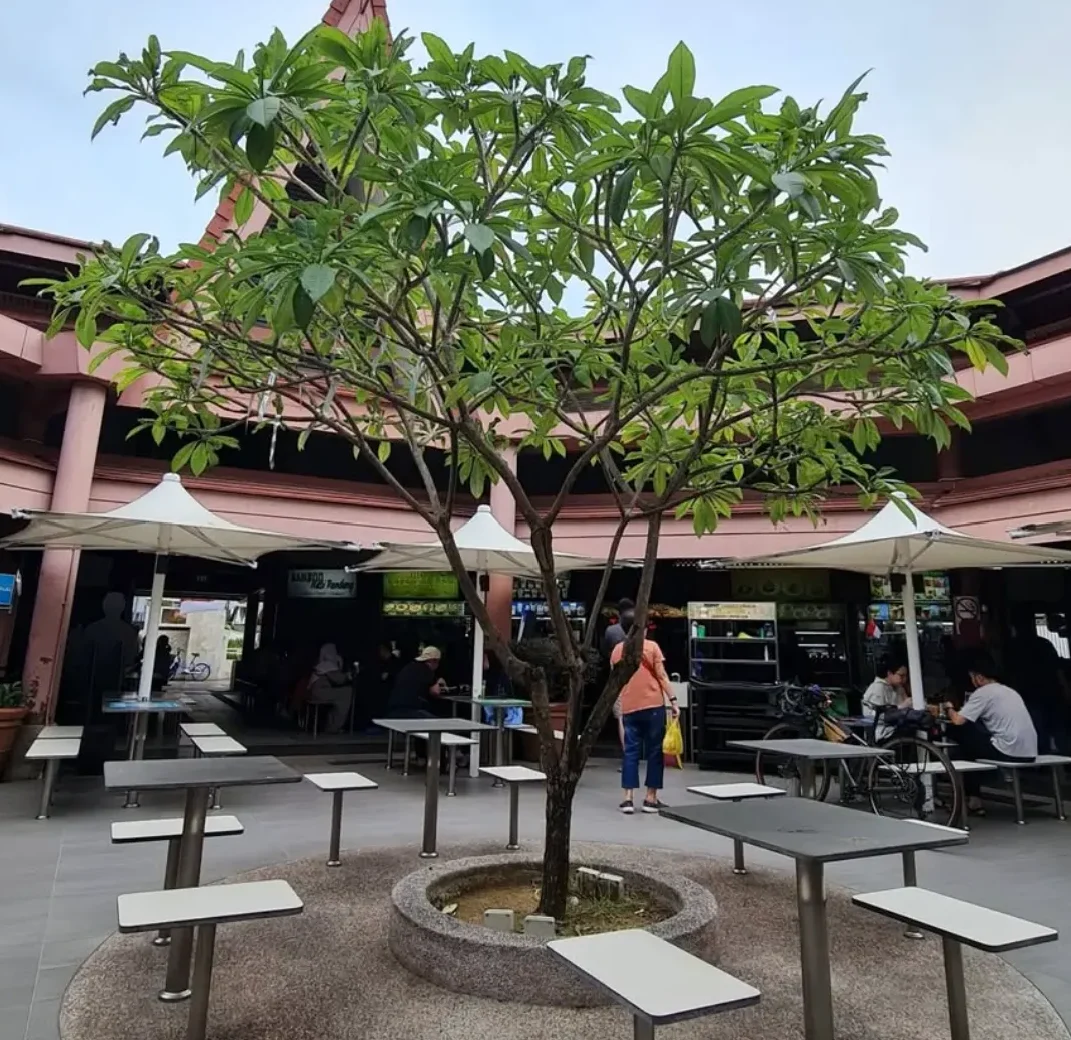 popular corner food centre non halal